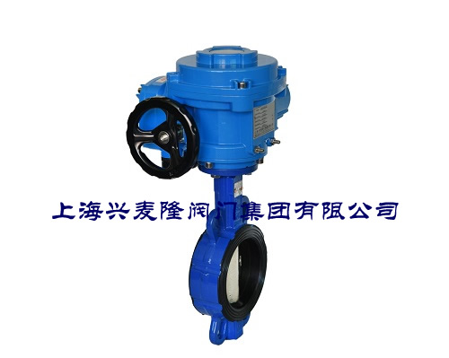 上海興麥隆閥門集團(tuán)有限公司